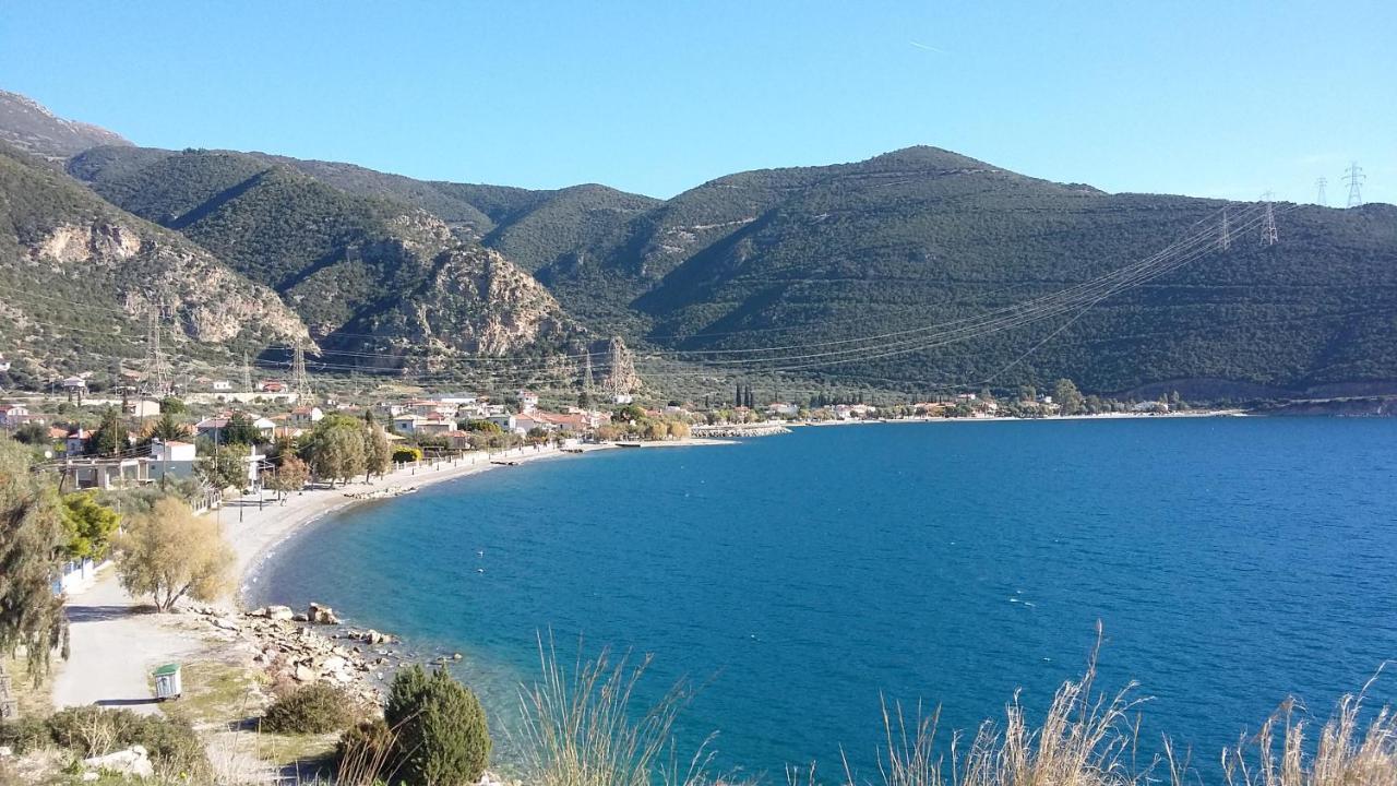 Margherita'S Holidays Home Agios Spyridon  Екстер'єр фото