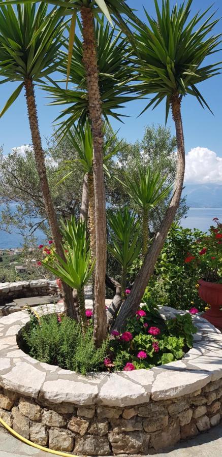 Margherita'S Holidays Home Agios Spyridon  Екстер'єр фото